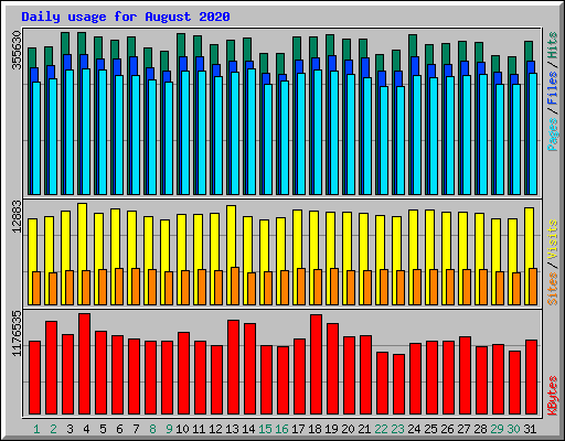 Daily usage for August 2020