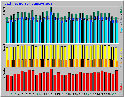 Daily usage for January 2021