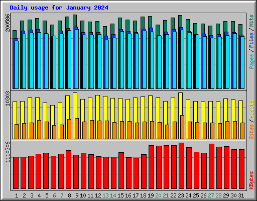 Daily usage for January 2024