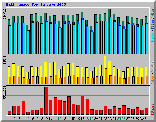 Daily usage for January 2025