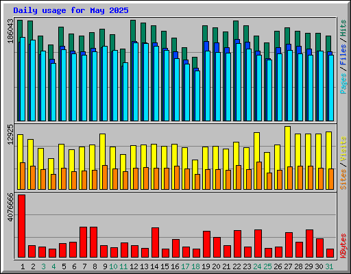 Daily usage for May 2025