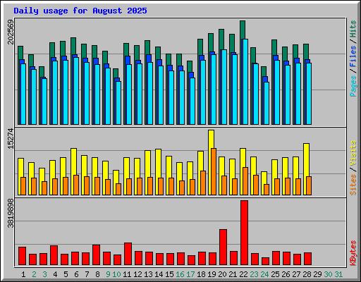 Daily usage for August 2025