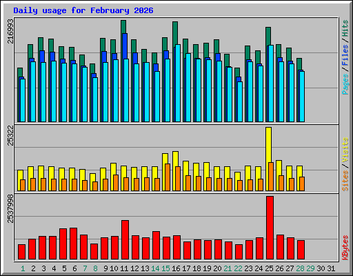 Daily usage for February 2026