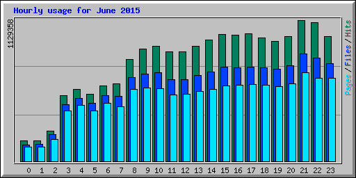 Hourly usage for June 2015