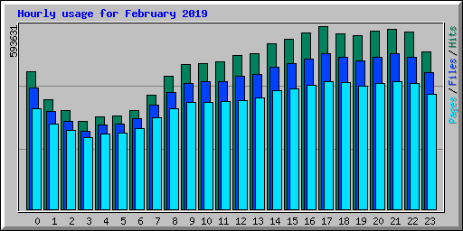 Hourly usage for February 2019