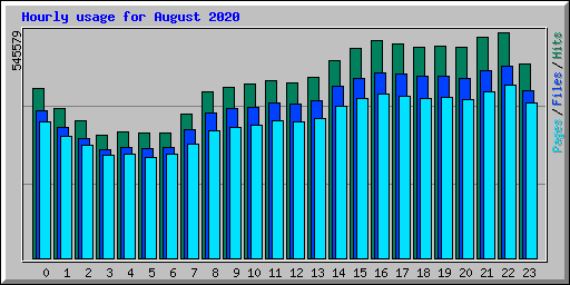 Hourly usage for August 2020