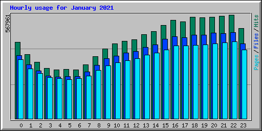 Hourly usage for January 2021