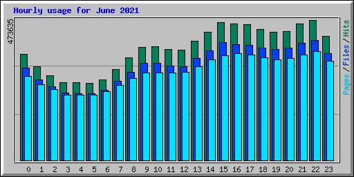 Hourly usage for June 2021