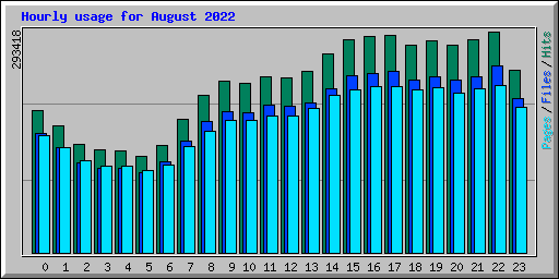 Hourly usage for August 2022