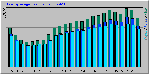 Hourly usage for January 2023