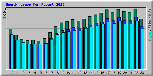 Hourly usage for August 2023