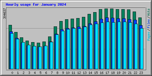 Hourly usage for January 2024