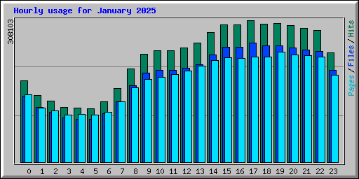 Hourly usage for January 2025