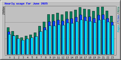 Hourly usage for June 2025