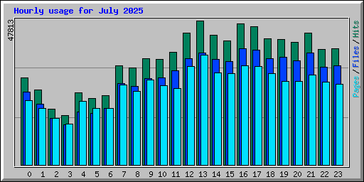 Hourly usage for July 2025