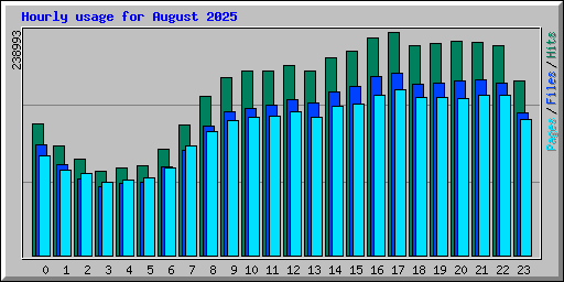 Hourly usage for August 2025
