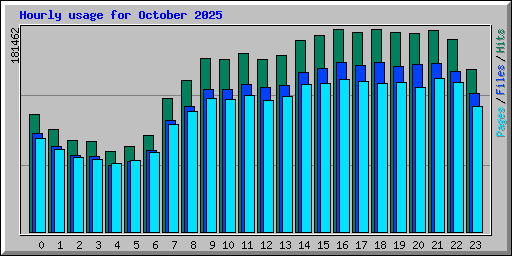 Hourly usage for October 2025