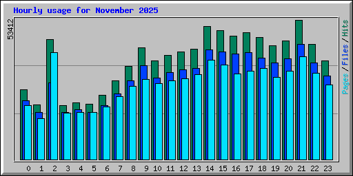 Hourly usage for November 2025