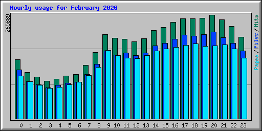 Hourly usage for February 2026