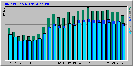 Hourly usage for June 2026
