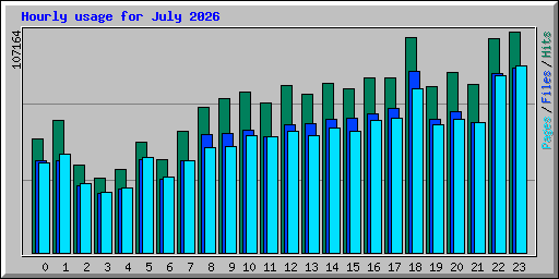Hourly usage for July 2026
